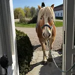 Holiday home Melkhuus Kappeln