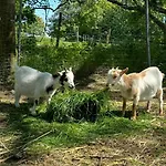 Melkhuus